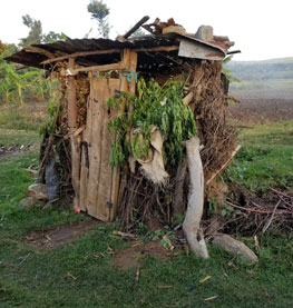 Pit Latrine in Dongobesh, Tanzania, Africa.